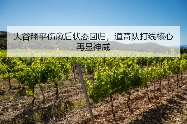 大谷翔平伤愈后状态回归，道奇队打线核心再显神威