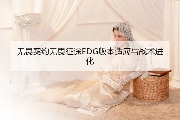 无畏契约无畏征途EDG版本适应与战术进化